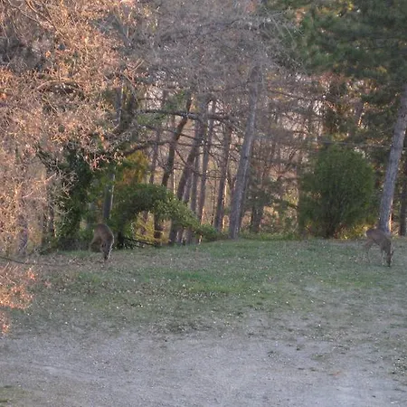 Hotel La Torre Ai Mari Sarteano